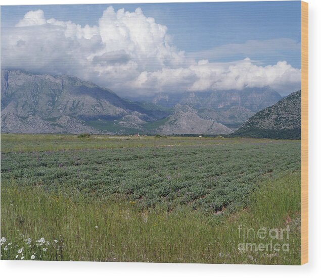 Clouds Wood Print featuring the photograph Clouds and mountains - Albania by Phil Banks
