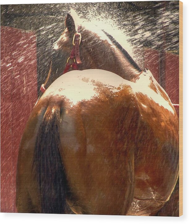 Refresh Wood Print featuring the photograph Polo Pony Shower HDR 21058 by Jerry Sodorff