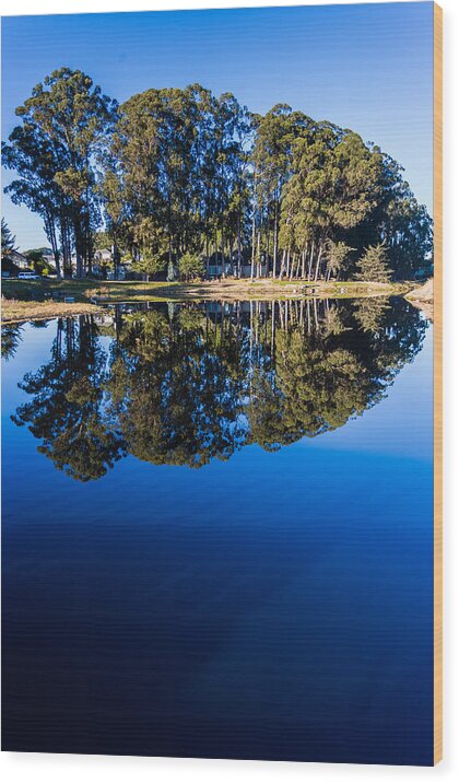 Reflections Wood Print featuring the photograph Blue Lagoon by Tommy Farnsworth