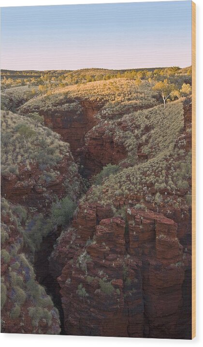 Oxer Lookout Wood Print featuring the photograph Oxer Lookout by Rick Drent