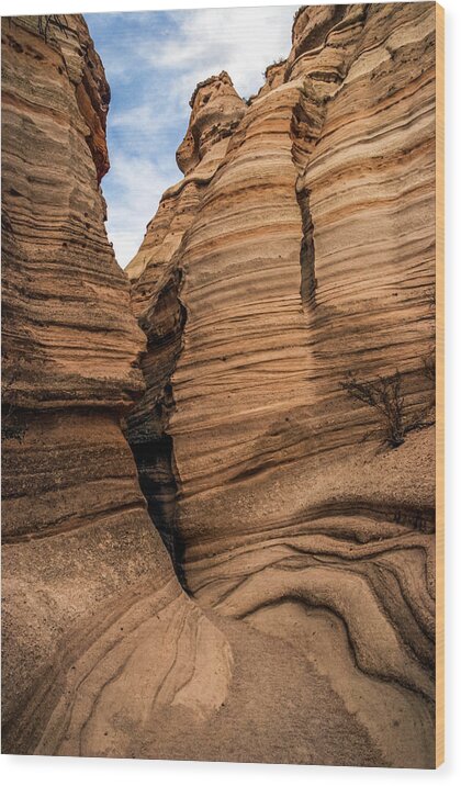 Tent Rocks Wood Print featuring the photograph The Trail by Tommy Farnsworth