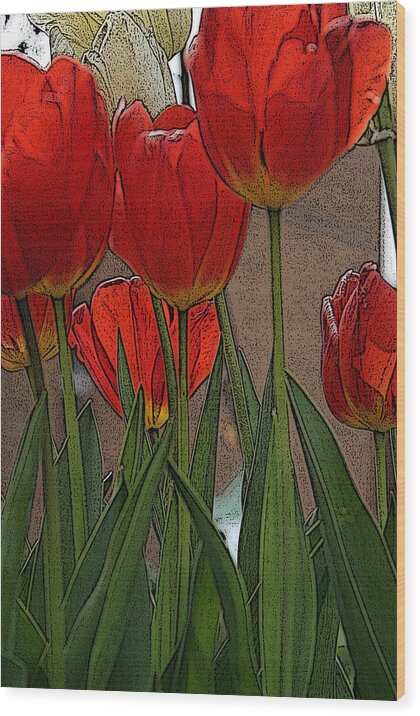 Tulips Wood Print featuring the digital art Tulips by John Freidenberg