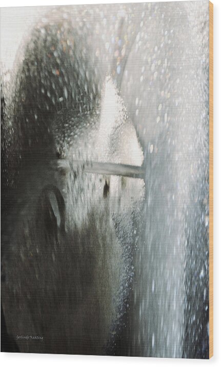 Abstract Wood Print featuring the photograph Rain by Gerlinde Keating - Galleria GK Keating Associates Inc