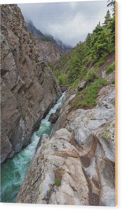 Colorado Wood Print featuring the photograph Mountain Stream by Tommy Farnsworth