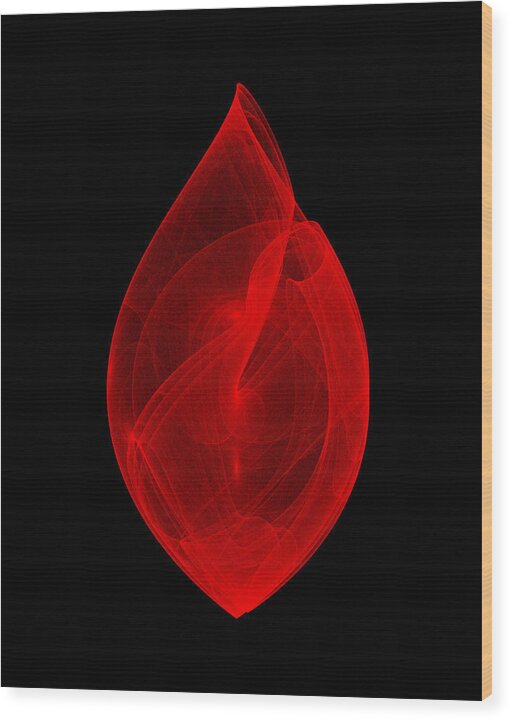 Strange Attractor Wood Print featuring the digital art Within Shell III by Robert Krawczyk