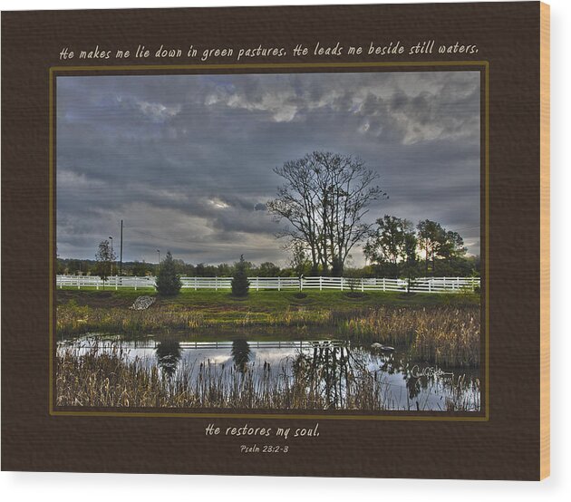 Brooklawn Wood Print featuring the photograph Brooklawn Pond by Carol Erikson