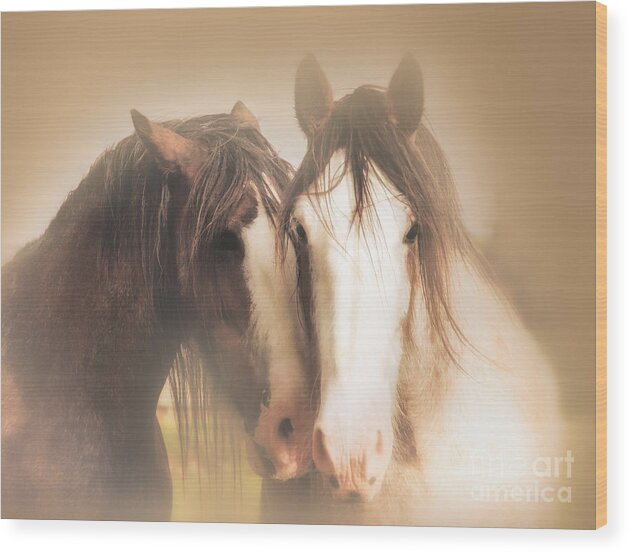 Clydesdale Wood Print featuring the photograph Together by Kype Hills