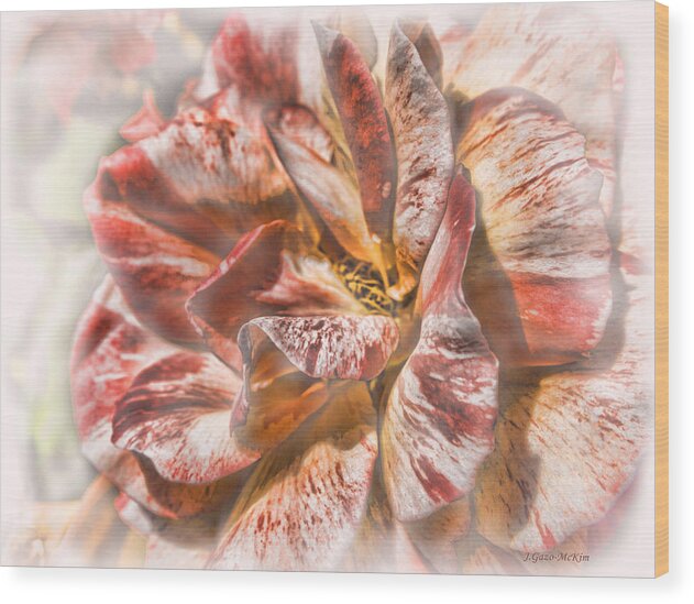 Flower Wood Print featuring the photograph Faded Glory by Jo-Anne Gazo-McKim