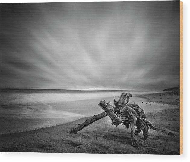 Lifeguard Wood Print featuring the photograph Driftwood Del Mar Beach by Lawrence Knutsson
