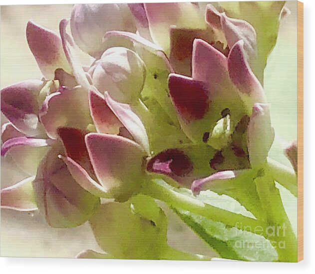 Purple Floral Wood Print featuring the photograph Purple Floral by Carol Riddle