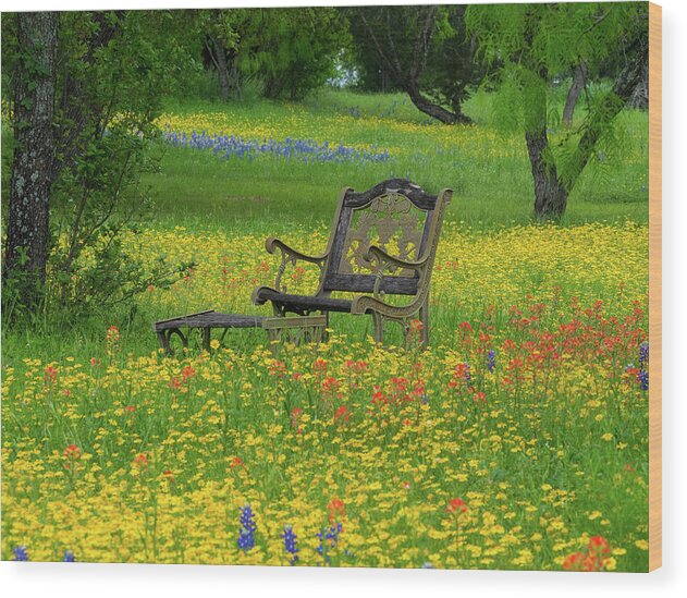 Texas Wildflowers Wood Print featuring the photograph Wildflower Retreat by Johnny Boyd