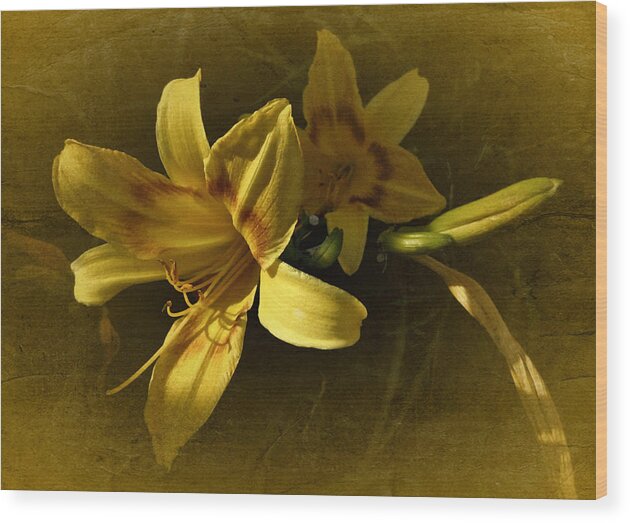 Lily Wood Print featuring the photograph Vintage Yellow Lily by Richard Cummings