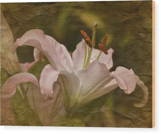 Daylily Wood Print featuring the photograph Vintage Daylily #2 by Richard Cummings