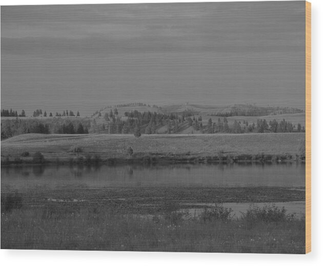 Landscape Wood Print featuring the photograph Grey Prairie by Mike Helland