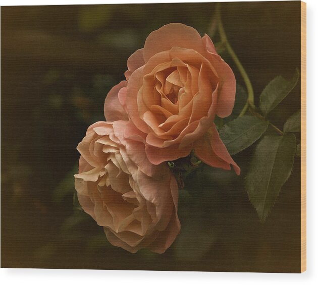 Roses Wood Print featuring the photograph The Two Roses by Richard Cummings