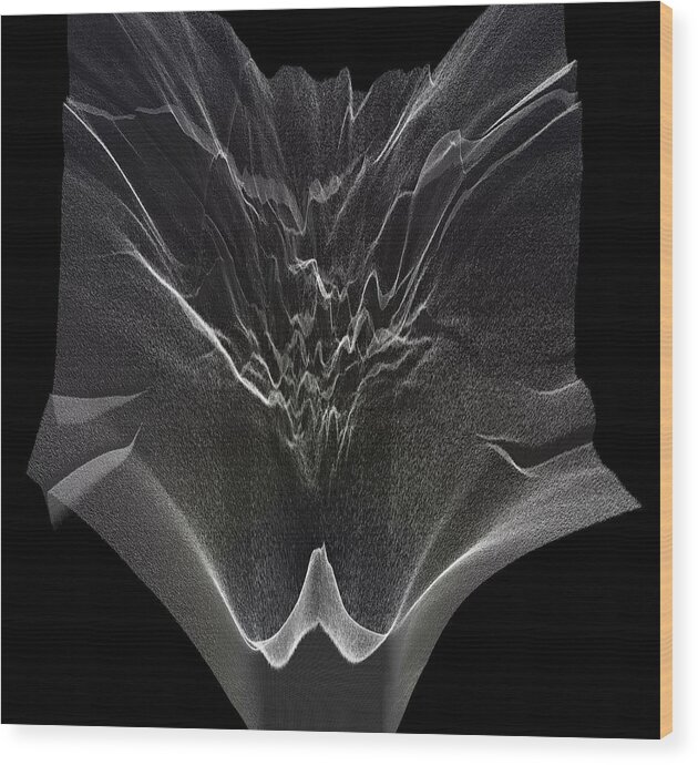 Artificial Intelligence Wood Print featuring the digital art Gradient X-Ray by Javier Ideami