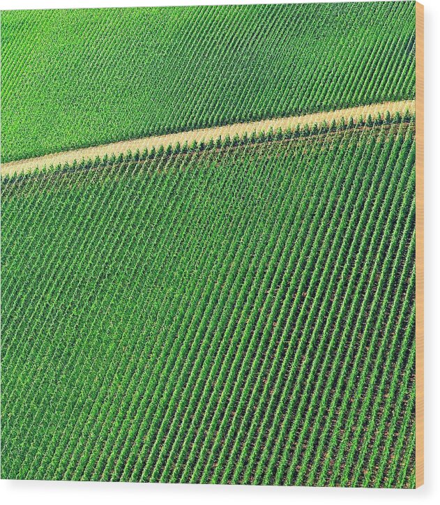 Helicopter Wood Print featuring the photograph Ag Road by Jerry Sodorff