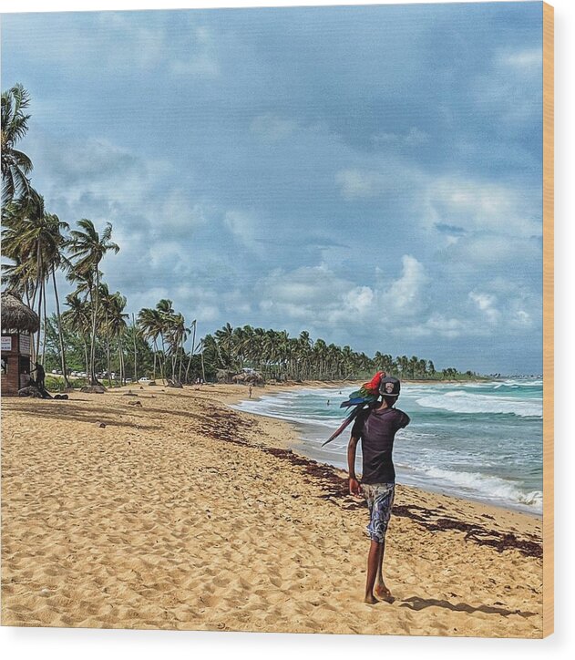 Punta Cana Wood Print featuring the photograph Palm Tree Paradise by Portia Olaughlin