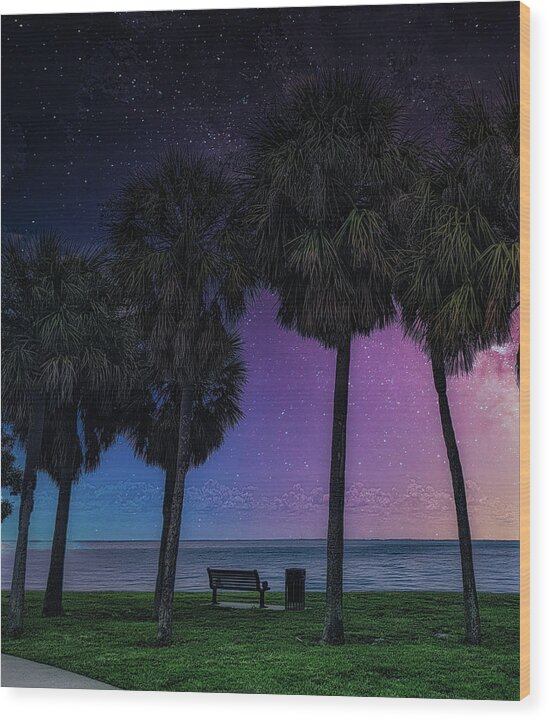 Tree Wood Print featuring the photograph Colorful Florida Nights by Portia Olaughlin