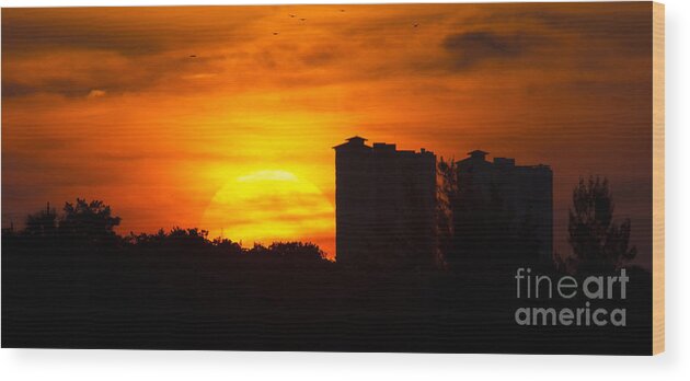Sunrise Wood Print featuring the photograph Sunrise #2 by Meg Rousher