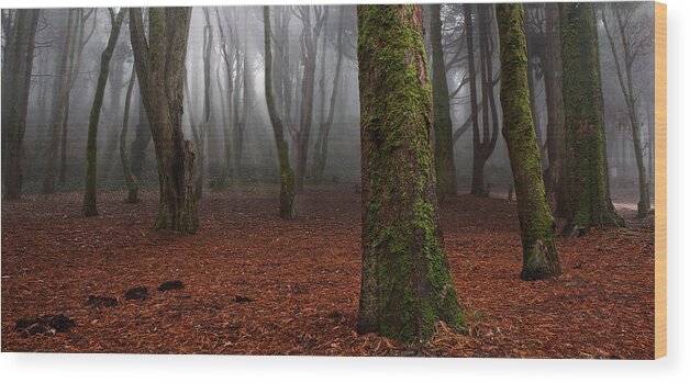 Landscape Wood Print featuring the photograph Magic light #1 by Jorge Maia