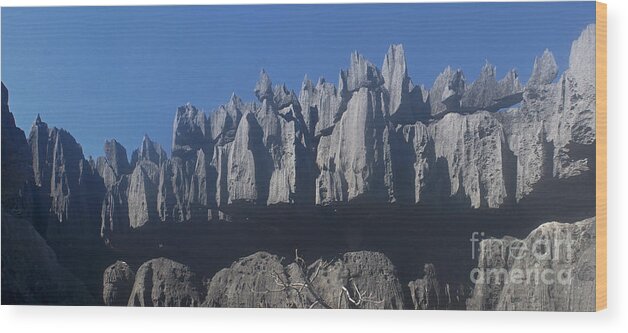 Prott Wood Print featuring the photograph Tsingy de Bemaraha Madagascar by Rudi Prott