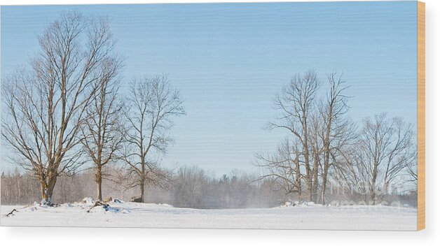 Landscapes Wood Print featuring the photograph Blowing Snow by Cheryl Baxter