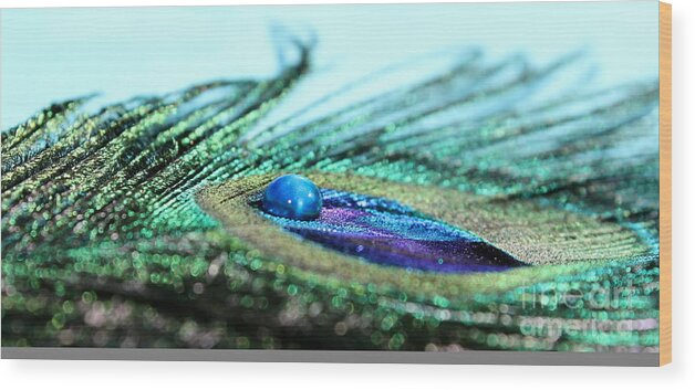 Peacock Wood Print featuring the photograph Blue by Krissy Katsimbras