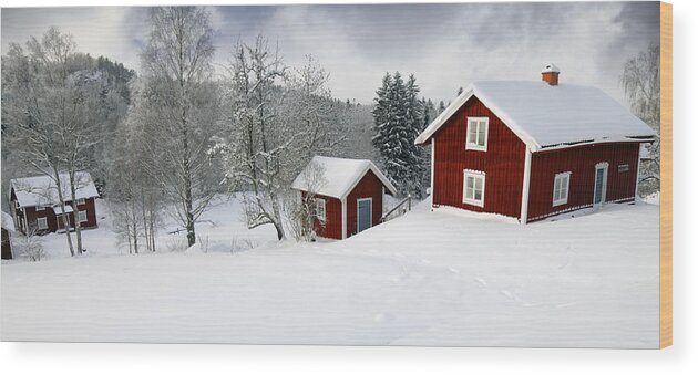 Cottages Wood Print featuring the photograph Christian Lagereek by Christian Lagereek