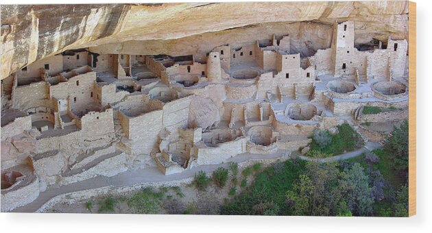 Cliff Palace Wood Print featuring the photograph Cliff Palace by Tony Craddock/science Photo Library