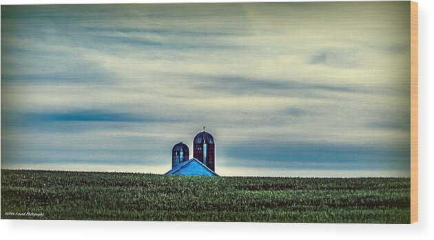 Landscape Photography Wood Print featuring the photograph Distant Farm by Debra Forand