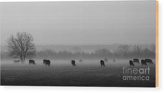 Morning Fog Wood Print featuring the photograph Early Morning Fog 005 by Robert ONeil