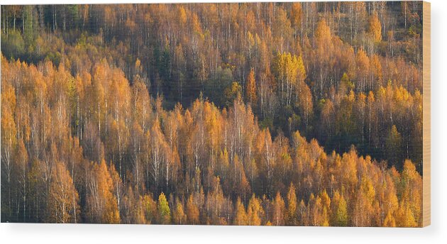 Finland Wood Print featuring the photograph Finnish Autumn by Evelyn Tambour