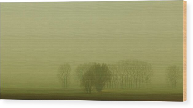 Fog Wood Print featuring the photograph Green Day by Franziskus Pfleghart