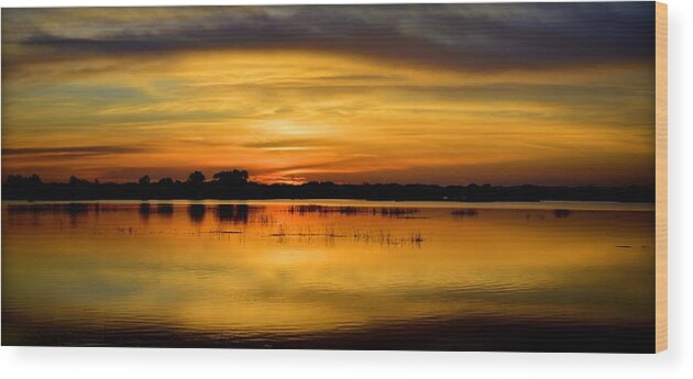 Marsh Wood Print featuring the photograph Horizons by Bonfire Photography