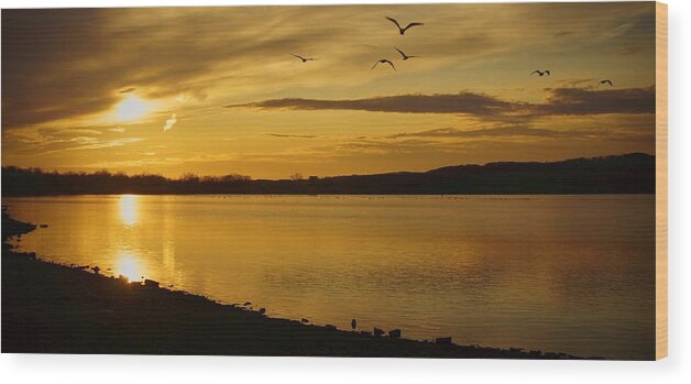 Matt Matekovic Wood Print featuring the photograph How Many Birds Can You Count? by Photographic Arts And Design Studio