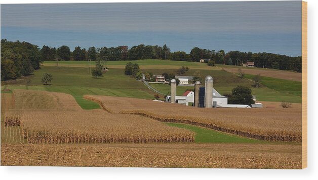 Lancaster County Wood Print featuring the photograph Lancaster County Farm by William Jobes