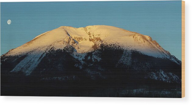 Buffalo Mountain Wood Print featuring the photograph Life Is Good by Fiona Kennard