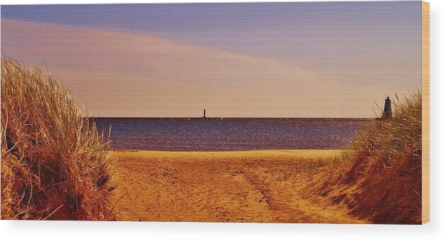  Wood Print featuring the photograph Ludington Lights by Daniel Thompson