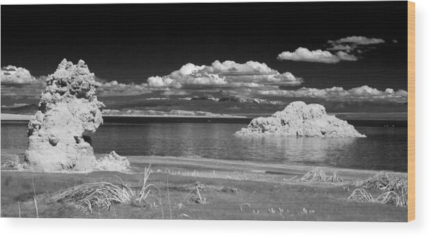 Black Wood Print featuring the photograph Mono Tufa by Cat Connor