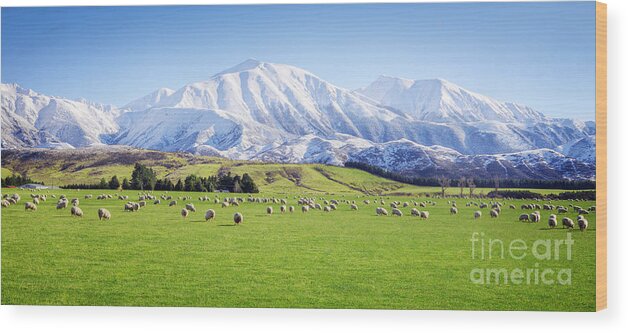 Beauty Wood Print featuring the photograph New Zealand Farmland Panorama by Colin and Linda McKie