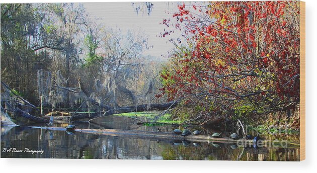 Santa Fe River Wood Print featuring the photograph Old Florida along the Sante Fe River by Barbara Bowen