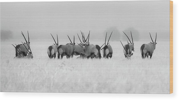 Oryx Wood Print featuring the photograph Oryx In The Rain by Kirill Trubitsyn