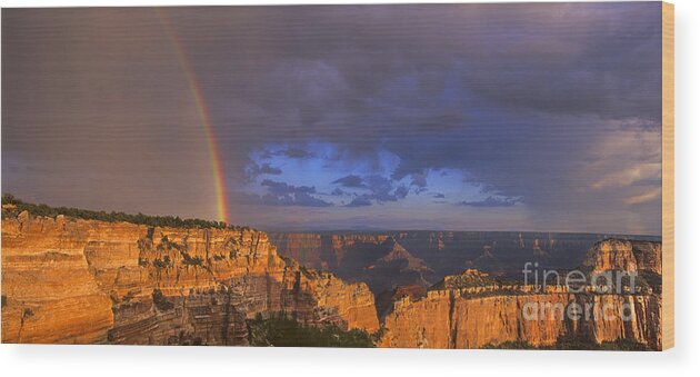 North America Wood Print featuring the photograph Panorama Rainbow over Cape Royal North Rim Grand Canyon National Park by Dave Welling