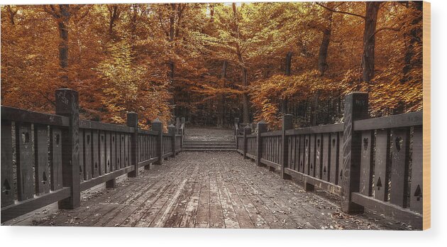 Landscape Wood Print featuring the photograph Path to the Wild Wood by Scott Norris
