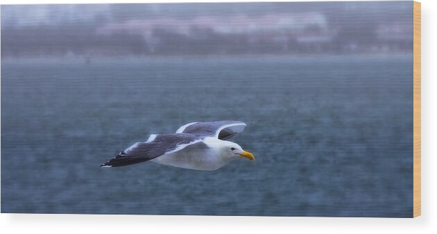Seagull Wood Print featuring the photograph Soar by Joe Ownbey