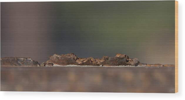 Abstract Wood Print featuring the photograph Steel Landscape by Fran Riley