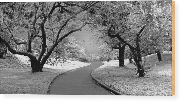 Black Wood Print featuring the photograph The Cherry Orchard Infrared by Jessica Jenney