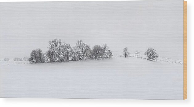 Winter Wood Print featuring the photograph Winter Tree Line in Indiana by Julie Dant