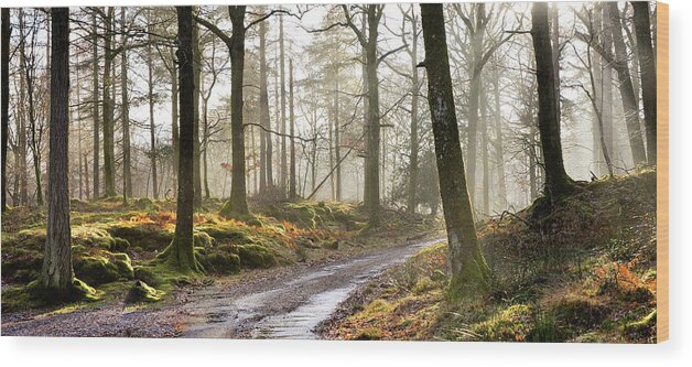 Tranquility Wood Print featuring the photograph Winter Woods by All My Images Are Taken In The English Lakedistrict